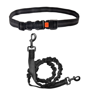 Royal Pets Stretchy Running Reflective Bungee Rope Leashes - Extra Strength For Running or Training