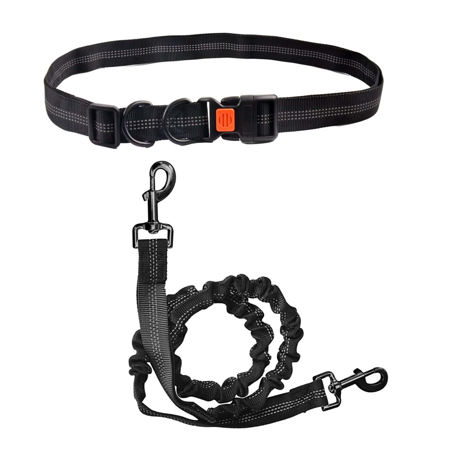 Royal Pets Running Cuerda Bungee Correas