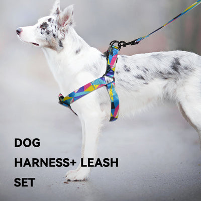 Royal Pets Pet Harness & Leashes Set YH-002