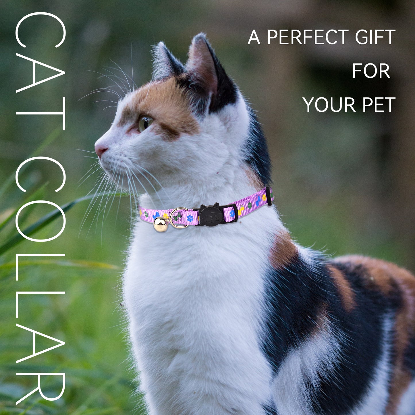 Royal Pets 6 Pcs Cat Collar Set With Bell