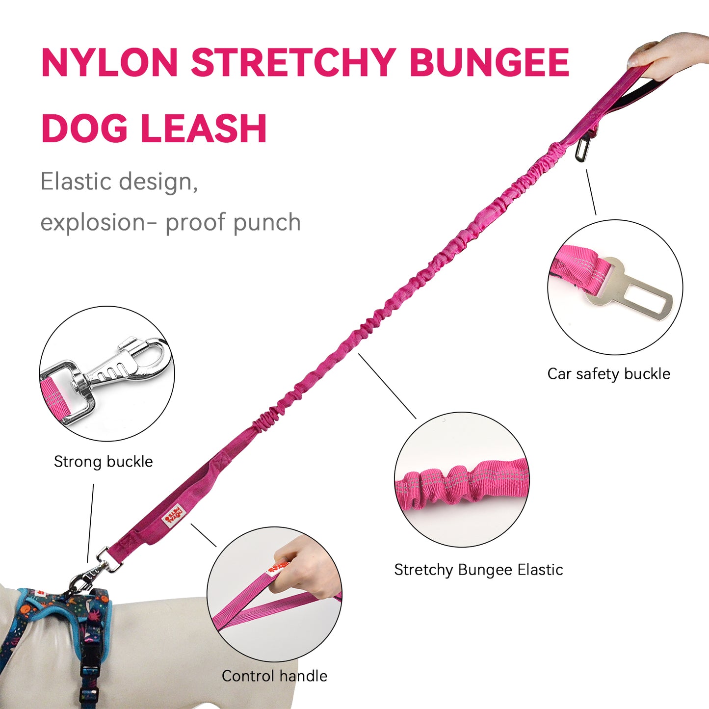 Royal Pets Stretchy Reflective Bungee Rope Leashes With Car Seat Belt Attachment - Double Padded Handle - Extra Strong Shock Absorber