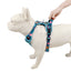 Royal Pets H5 Shaped Pet Harness