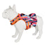 Arnés para mascotas con diseño de vestido Royal Pets 