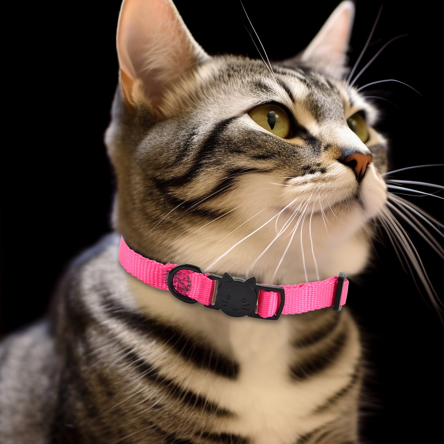 Royal Pets 4 Pcs Cat Collars Set
