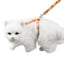 Royal Pets Cat Harness & Leash MT-4