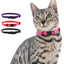Royal Pets 4 Pcs Cat Collars Set