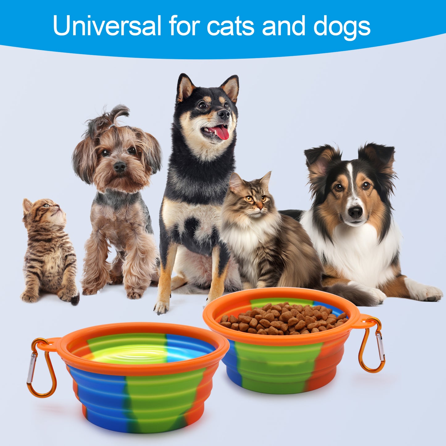 Royal Pets USA Collapsible Dog Travel Bowls, Portable Water Bowl for Dogs or Cats Pet Foldable Feeding Water or Treat for Traveling, Walking & Camping with Carabiner, BPA Free (Blue, 350ml)