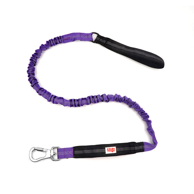 Royal Pets Stretchy Nylon Bungee Reflective Rope Leashes - Extra Strength