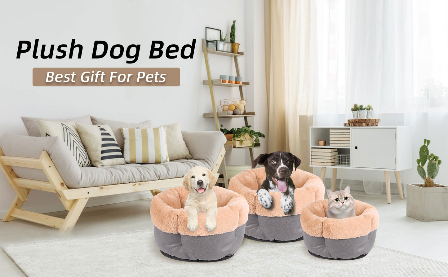 Royal Pets USA Premium and Comfortable Plush Bed for Dogs & Cats with Cushion for Small and Medium Size Dog and Cat with Non-Slip Bottom. (Solid, Large)