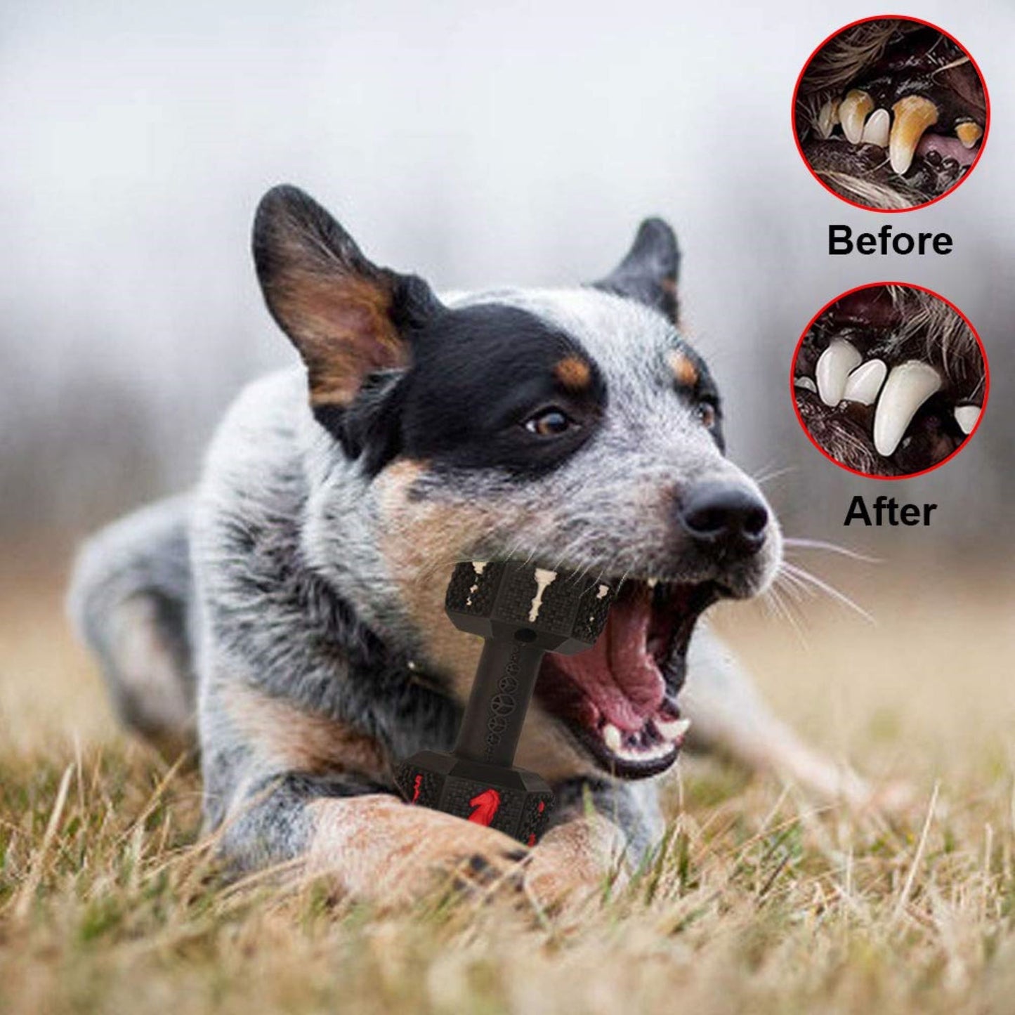 ROYAL PETS USA Indestructible, Durable & Tough Dumbell Dog Chew Toy for Aggressive Chewers. Slow Treat Dispensing Interactive Toys for S, M & L Breed -100% NATURAL RUBBER -10000 BITES TESTED - UNIQUE DESIGN FOR ORAL CARE