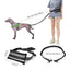 Royal Pets Bungee Rope Leashes With Bag
