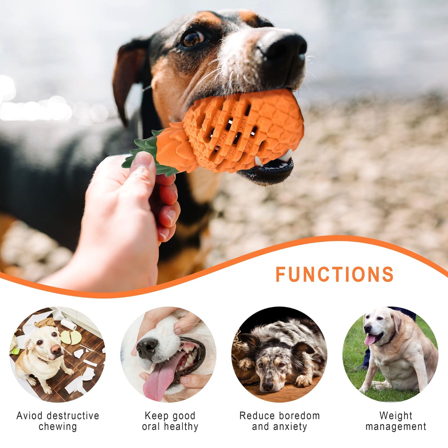 Juguete masticable para perros con piña de Royal Pets