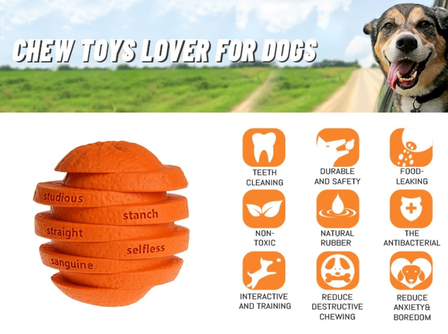 Juguete para mascotas Royal Pets Orange Dog Intelligence